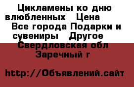 Цикламены ко дню влюбленных › Цена ­ 180 - Все города Подарки и сувениры » Другое   . Свердловская обл.,Заречный г.